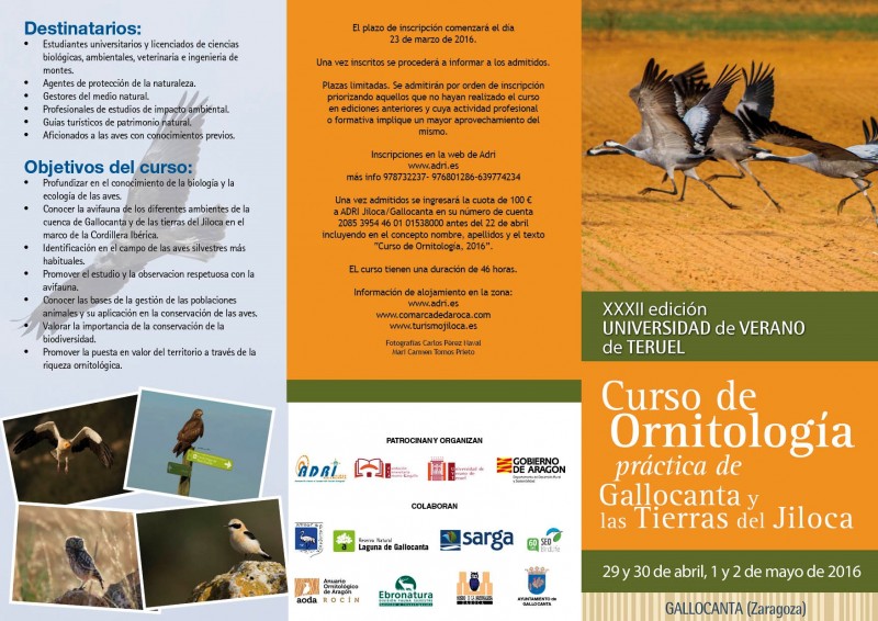 Curso de Ornitología - La Casa de las Aldeas - Daroca